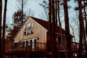 SkyView treehouse